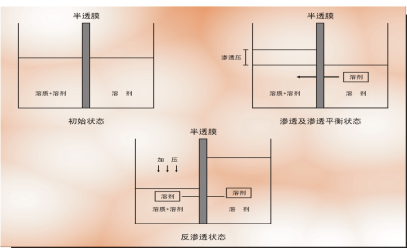 /ueditor/image/20240311/1710145916213678/04fe273d7956e401df565652a3bf4cc3.jpg 1710145889777.jpg